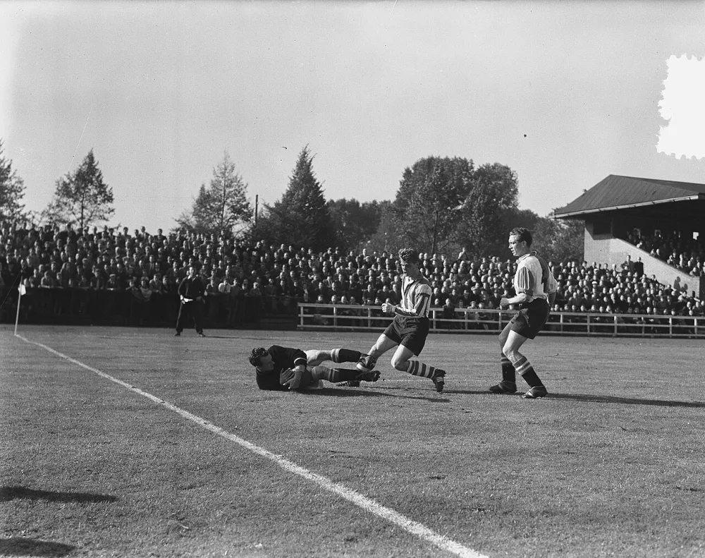 Henk van der Bijl