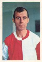 Coen Moulijn